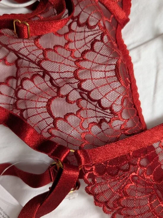 NWT Bordelle Sensu Balconnette Bra & Ouvert Brief Burnt Red size M - Picture 9 of 9